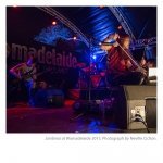 Jambinai-at-Womadelaide-by-Neville-Cichon