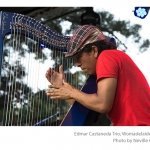 Edmar-Castaneda-Trio-Womadelaide-photo-Neville-Cichon