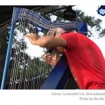 Edmar-Castaneda-Trio-Womadelaide-photo-Neville-Cichon-02