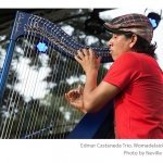 Edmar-Castaneda-Trio-Womadelaide-photo-Neville-Cichon-03