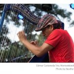 Edmar-Castaneda-Trio-Womadelaide-photo-Neville-Cichon-04