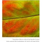 Only-natural-exhibition-by-Neville-Cichon-02