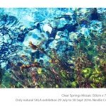 Only-natural-exhibition-by-Neville-Cichon-03
