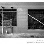 urban-surfaces-02-adelaide-by-neville-cichon