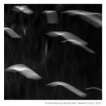 Environmental-abstraction-05