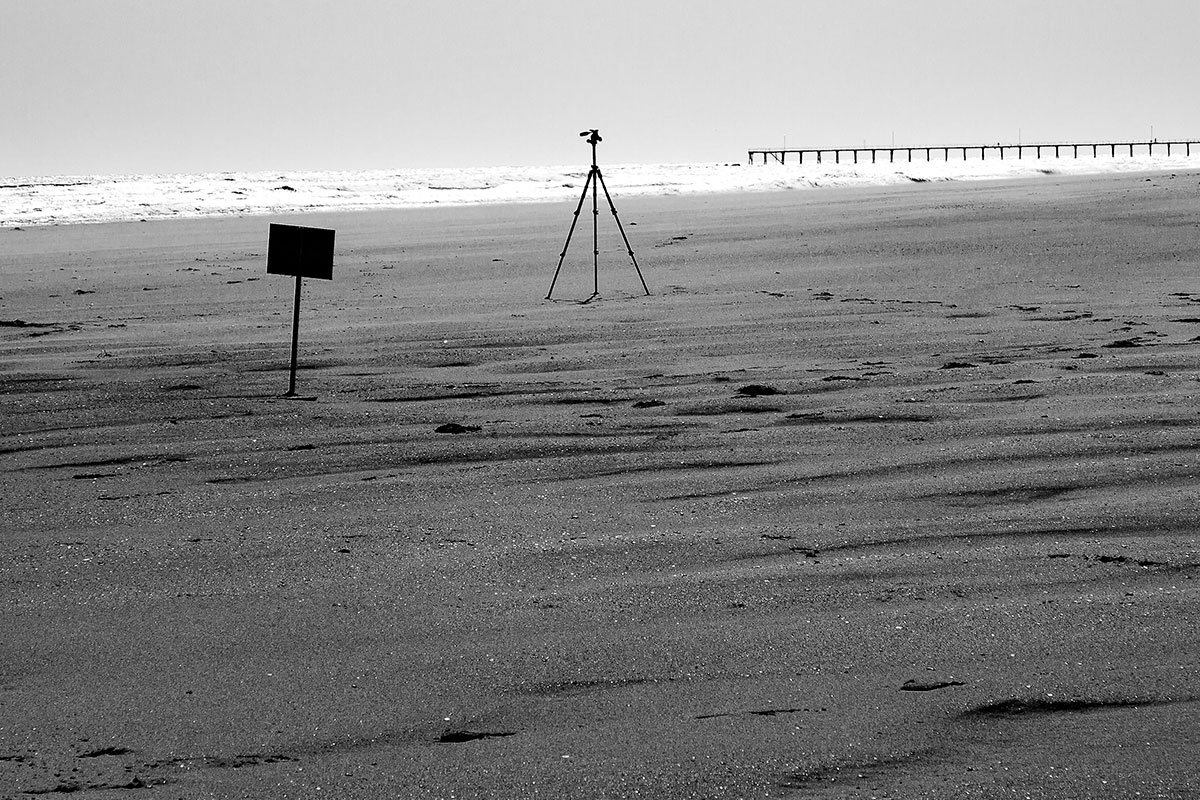 The Artist Was Present